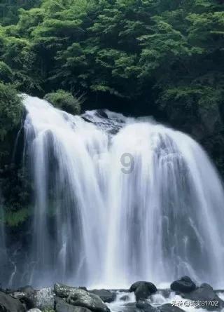 逗小猴开心系列204